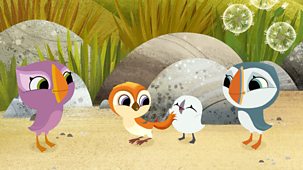 Puffin Rock - Series 3: 5. Just Like A Puffin