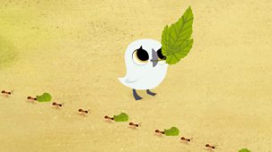 Puffin Rock - Series 3: 7. Bug Bug Buggies