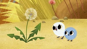 Puffin Rock - Series 3: 14. Dandelion Drift
