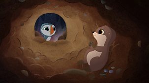 Puffin Rock - Series 3: 17. Hide And Swim