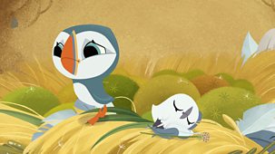 Puffin Rock - Series 3: 21. Under The Weather