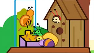 Stan Can - Series 1: 47. Bug Hotel