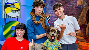 Blue Peter - Full Episodes: Creepy Or Cute With Kyle Thomas And Beard Of Bees Challenge