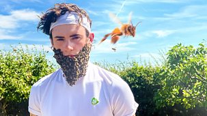 Blue Peter - Challenges: Joel&rsquo;s Beard Of Bees Challenge