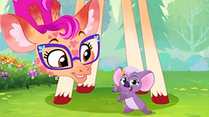 Vida The Vet - Series 2: 13. Daphne's Diabetes Pump