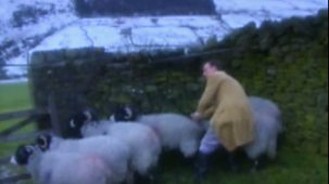 All Creatures Great And Small - Series 6: 4. The Nelson Touch