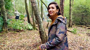 Countryfile - Chatsworth: An Evolving Estate