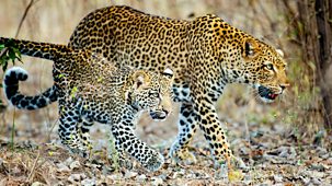 Kingdom - Series 1: Episode 1