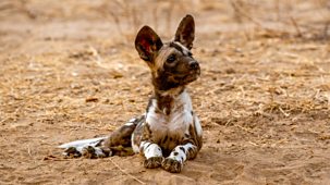 Kingdom - Series 1: Episode 2