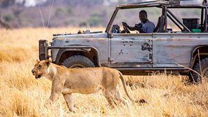 Kingdom - Series 1: 6. The Secret Story Of Kingdom