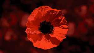 Royal British Legion Festival Of Remembrance - 2025