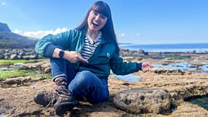 Blue Peter Challenges - Series 4: 2. Hunting Dinosaur Footprints