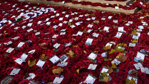 Remembrance Sunday: The Cenotaph - 2025 Highlights