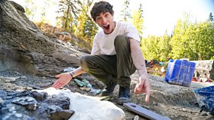 Blue Peter - Full Episodes: Canadian Adventure Featuring Walking With Dinosaurs Competition