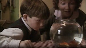 All Creatures Great And Small - Series 6: 9. Big Fish, Little Fish