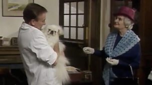 All Creatures Great And Small - Series 6: 12. The Best Time