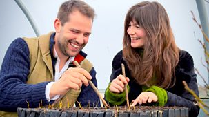 Antiques Road Trip - Series 31: 12. Fern Fever And Far East Finds