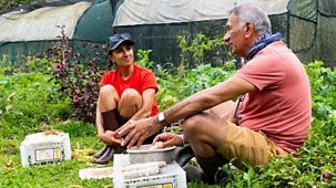 Celebrity Race Across The World - Series 3: Episode 4