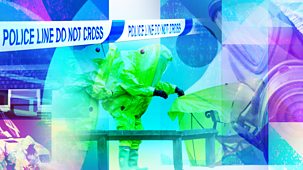 Newsnight - Putin Poisonings