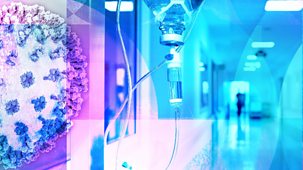 Newsnight - 'mask Up For Flu Wave'