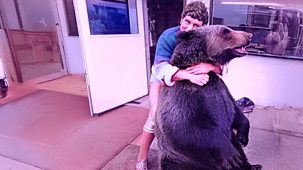 Hercules The Bear - A Love Story - Episode 30-12-2025