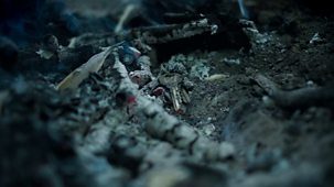The Truth About My Murder - Series 1: 1. Bones In The Forest