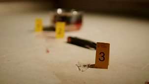 The Truth About My Murder - Series 1: 5. A Deadly Neighbour