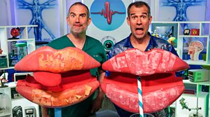 Operation Ouch! - Series 14: 11. Getting Lippy!