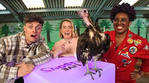 Cbbc Live Lessons - Series 7: Safer Internet Day 2026
