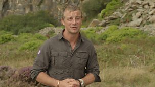 Bear Grylls - Wild Reckoning - Series 1: Don't Follow In My Footsteps