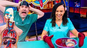 Blue Peter - Full Episodes: Operation Ouch And Spring Animals