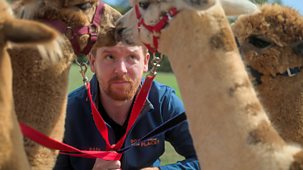 Do You Know Your Place? - Series 1: 12. Taunton