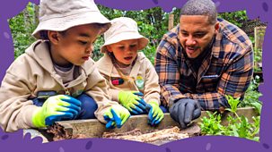 I Can Grow It - Series 1: 7. Minibeasts