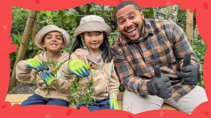 I Can Grow It - Series 1: 8. Weeds