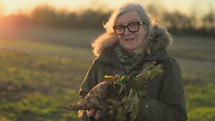 Countryfile - Sugar Beet Harvest