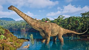 Andy's Dino Island - Series 1: 3. Andy And The Alamosaurus