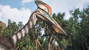 Andy's Dino Island - Series 1: 7. Andy And The Hatzegopteryx Display