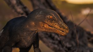 Andy's Dino Island - Series 1: 10. Andy And The Velociraptor