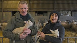 Countryfile - Lambing Special