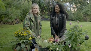 Michael Mosley - Just One Thing - Series 2: 3. Gardening