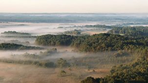 Inside Britain's National Parks - Series 1: 1. New Forest