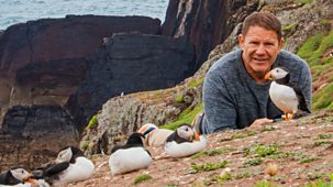 Deadly 60 - Series 7: 5. Puffins And Dragonflies