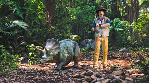 Andy's Dino Island - Series 1: 11. Andy And The Baby Triceratops