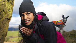 Blue Peter - Challenges: Incredible Mountain Rescue Dogs