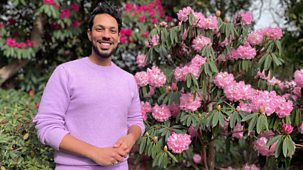 Gardeners' World - 2026: Episode 4