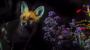 Secret Garden - Series 1: 2. Bristol