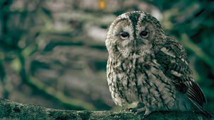 Secret Garden - Series 1: 4. The Wye Valley