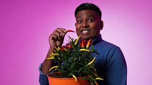 What&rsquo;s In Your Plant Pot? - Series 1: 1. Chilli
