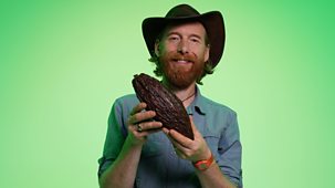 What&rsquo;s In Your Plant Pot? - Series 1: 2. Cacao