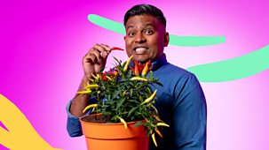 What&rsquo;s In Your Plant Pot? - Series 1: 1. Chilli